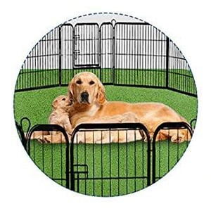 puppy washable pads puppy washable pads